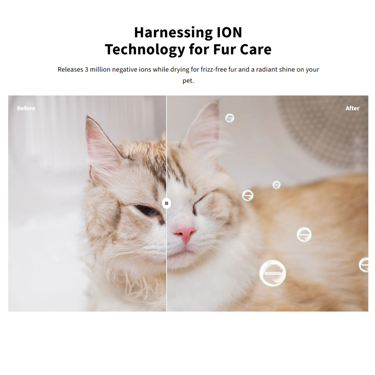 AIRSALON MAX & MAX PRO PET DRYER BOX