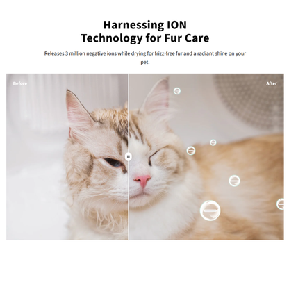 AIRSALON MAX & MAX PRO PET DRYER BOX