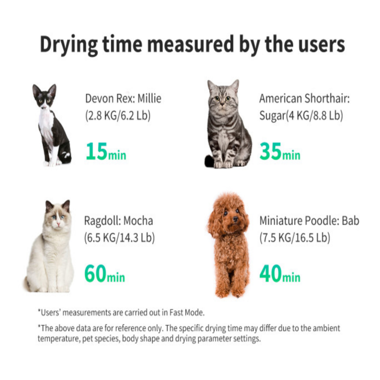 AIRSALON MAX & MAX PRO PET DRYER BOX